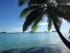 palmyra-atoll